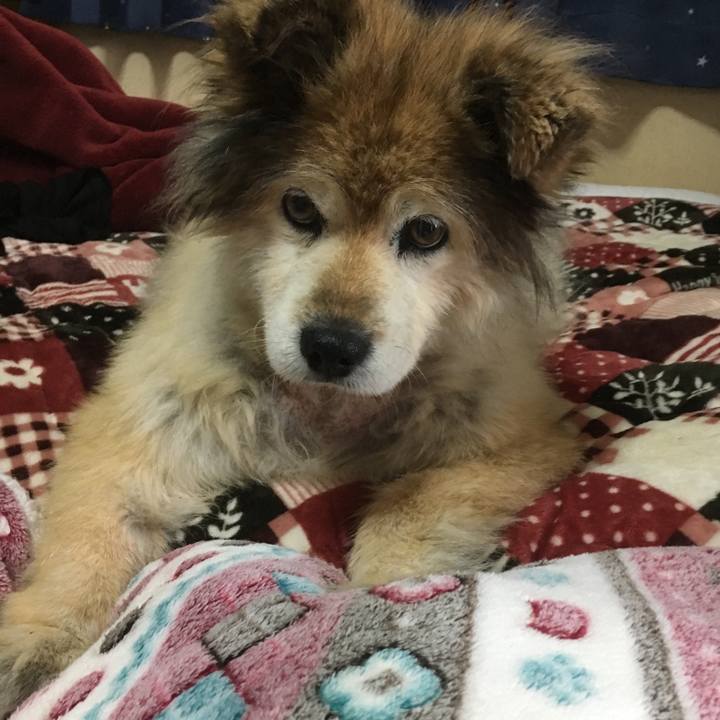 49a66ede 8961 4448 bfea d48c02e88f47 1616978307182