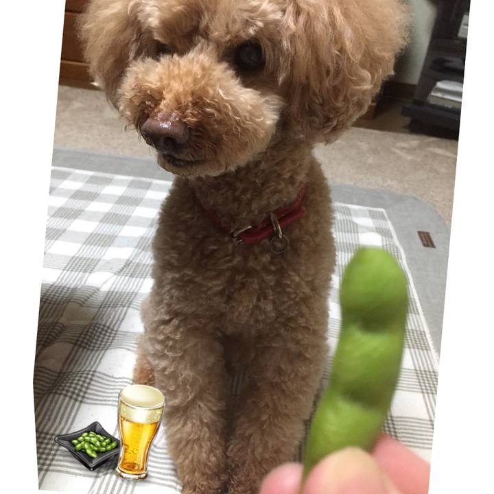 49a671eb 1ff4 4f6a b241 5e546fe2091d 1529582333369