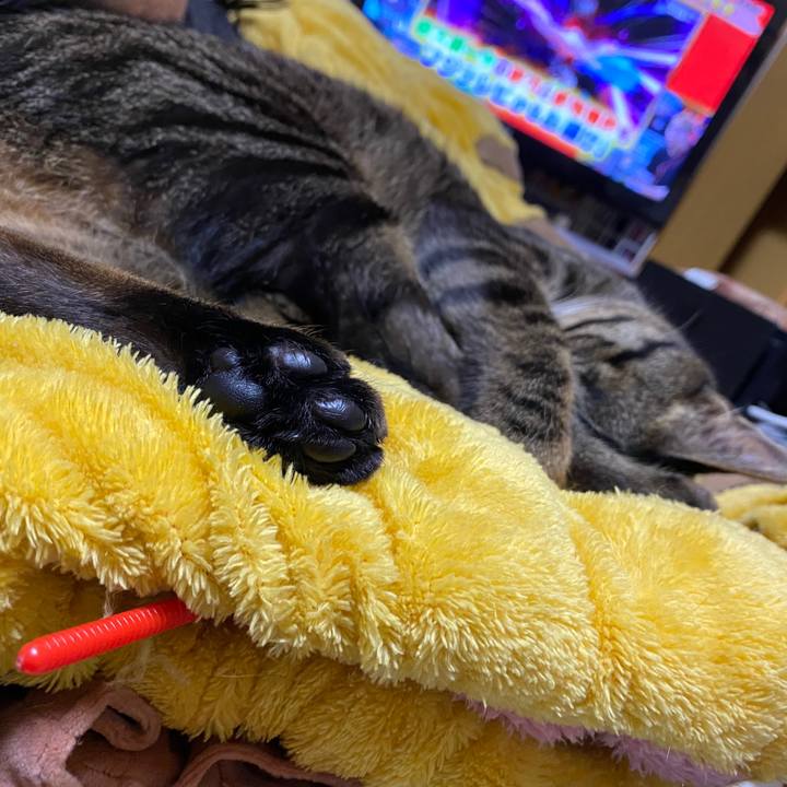 49a67610 9c47 4597 8cdd dee6dbf5115f 1587981067442