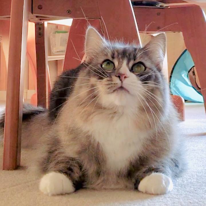 49a6ddf6 545e 4844 ad96 28d6896d01e9 1575011266010