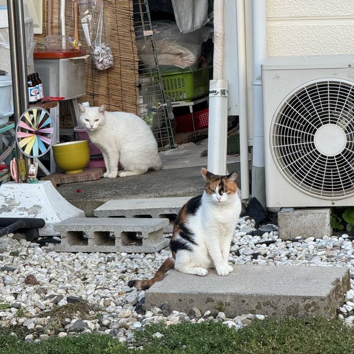 49a6e57a 8ab8 4e64 a5fc 9277ed09bc55 1759717489881