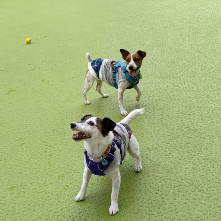 49a71a60 8a09 44e1 91cf 3f0c11c7f33d 1621242877971