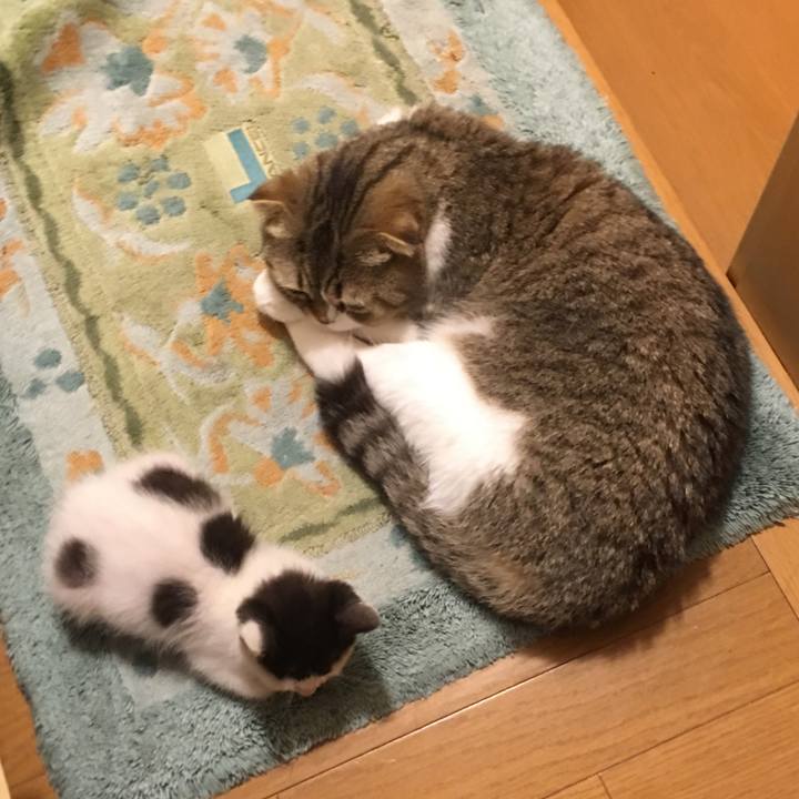 49a76d38 e346 4e37 b966 66204831175c 1529436706884