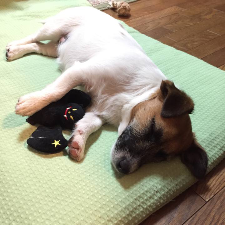 49a80bcb 8fc5 4318 a91f 1087447f24bf 1513692360367