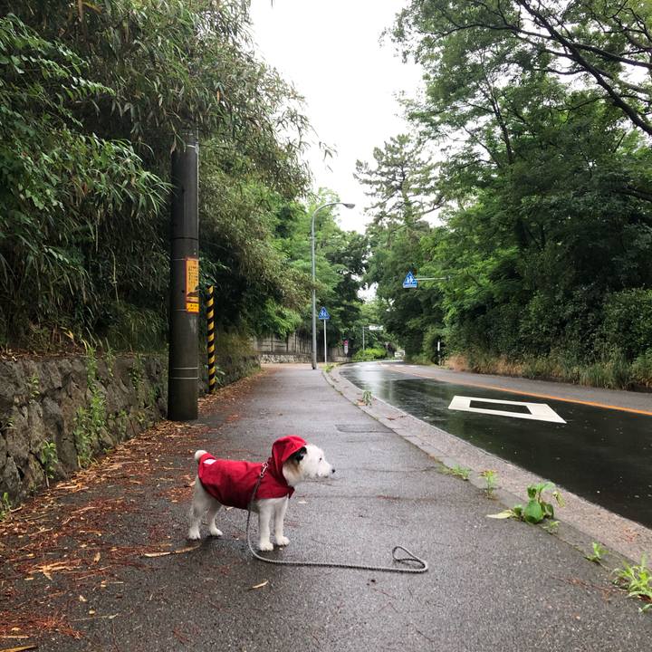 49a844f3 3b5e 4140 b6a8 caa15a2a5875 1593125978977