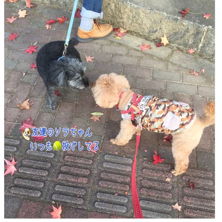 49a855f5 6bf0 4cc2 9109 736cea766f96 1541232340410