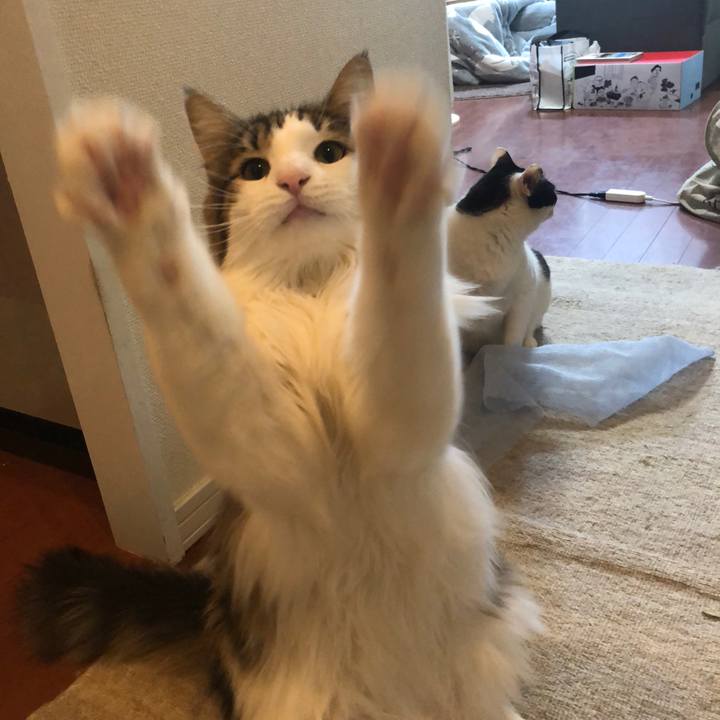 49a8667f 2250 429d 96b0 4ec17dcde197 1547091556144