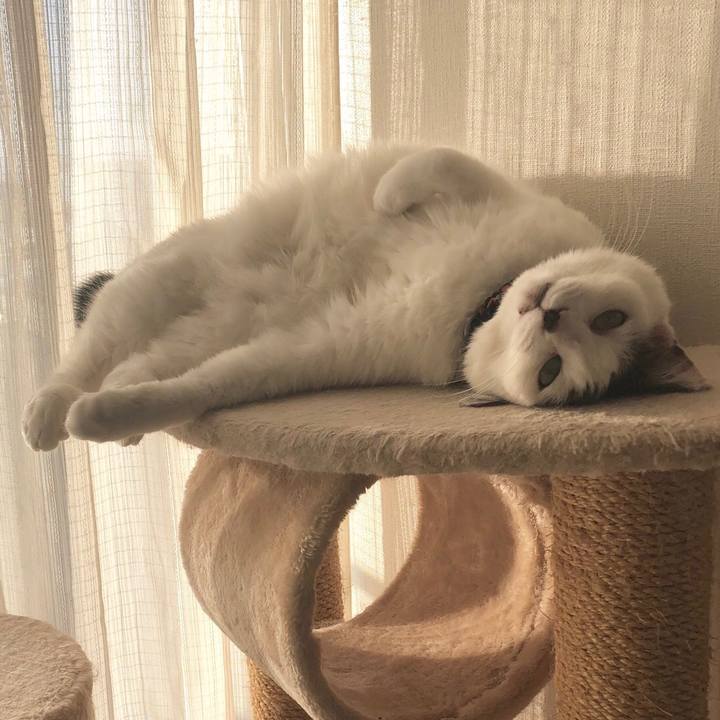 49a8730c 2539 4904 901d 42f89bd2d1db 1547881566972