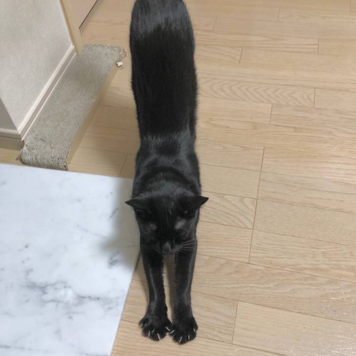 49a87b77 25bd 4e28 a24b 066dc560ada3 1599832631490