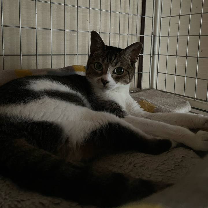 49a87d67 4fce 45cc acf1 ce536a32d72a 1630544251512