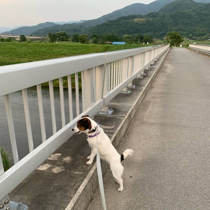 49a9432e a4c0 4f07 bfd3 9f0030a89924 1591526191085