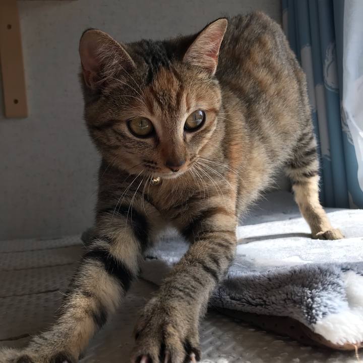 49a95790 11a7 4786 9860 f89eaa555f8e 1546224666899