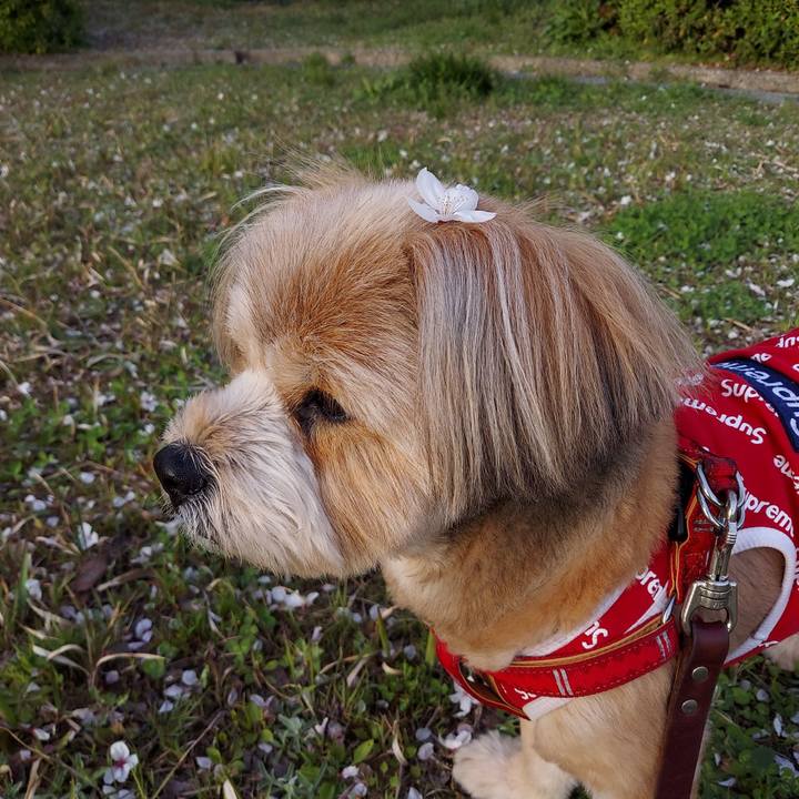 49a95d56 23e9 4d22 90ab b3e73c8ea73e 1617097936980