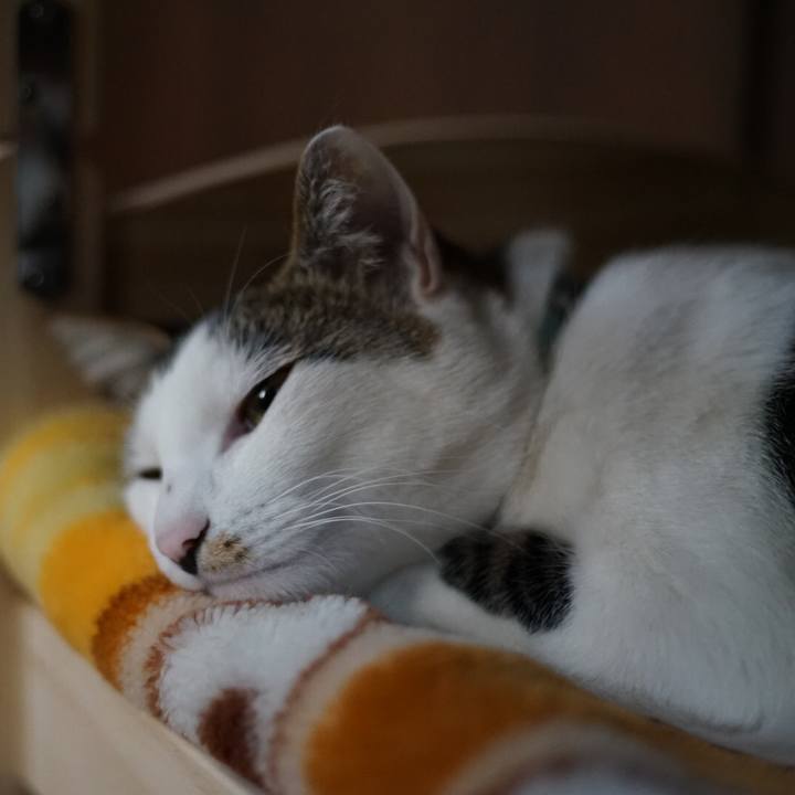 49a9709e 472c 4fd4 b1cf 450a175a15cd 1522020677377