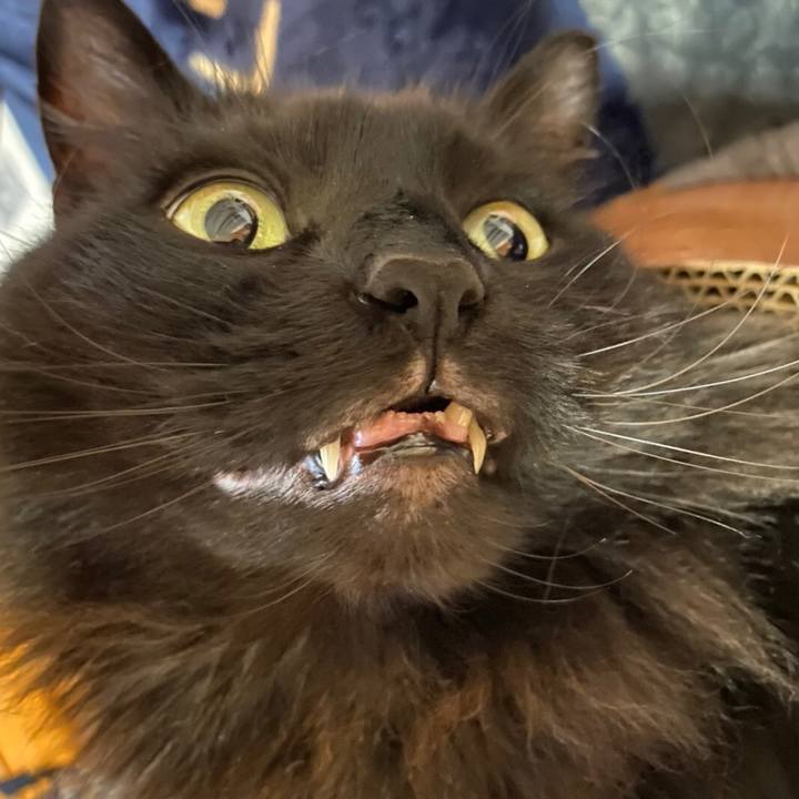 49a976f9 b273 462f a61a cc461c840e56 1581862097684