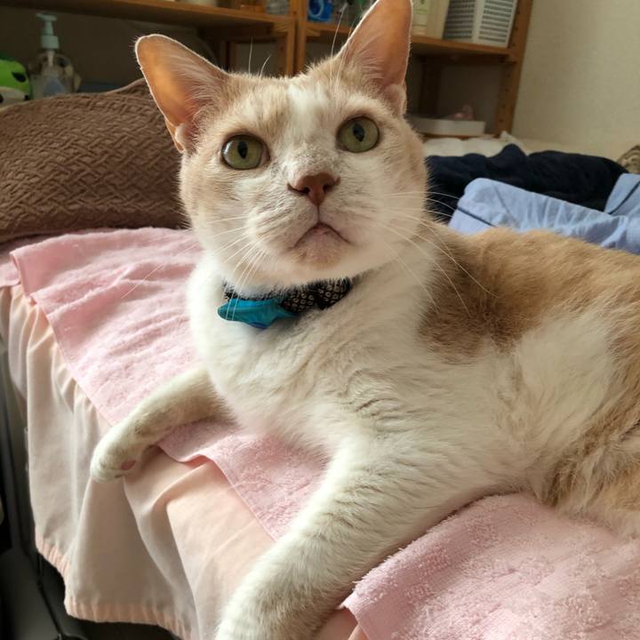 49a9a242 d3a8 4c53 b998 79a213ba4e60 1622500586747