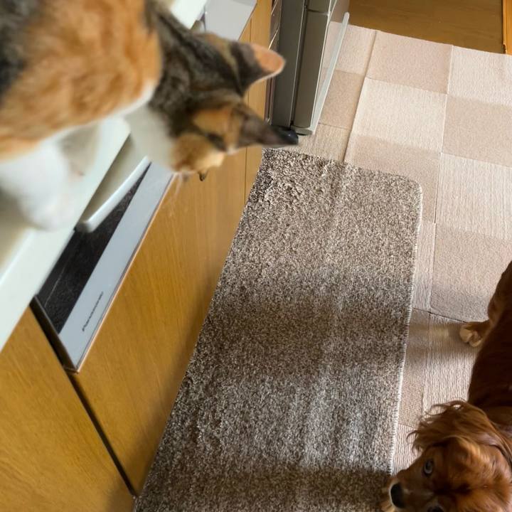 49a9cca1 8233 4370 92ee 9023d0e2927a 1657492282654