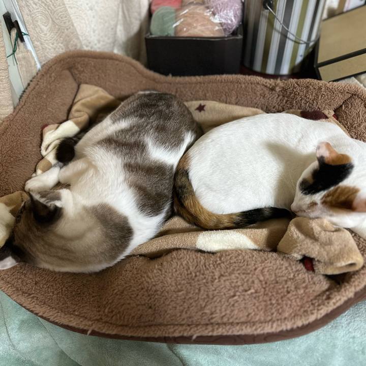 49a9ed16 7e5d 492b 9f08 431d4c843d26 1700184033795