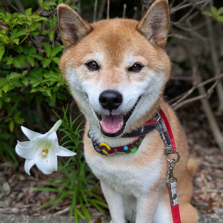 49aa47aa 7a1d 4543 b0b9 a4aa2b8e959f 1755299273126