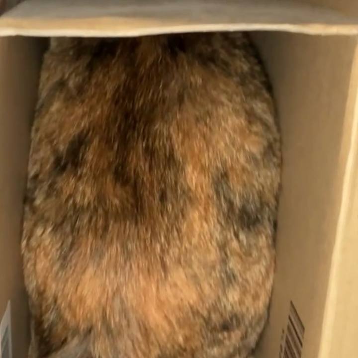 49aaa719 23a6 4287 bb83 26f0670e4d5a 1730367813933