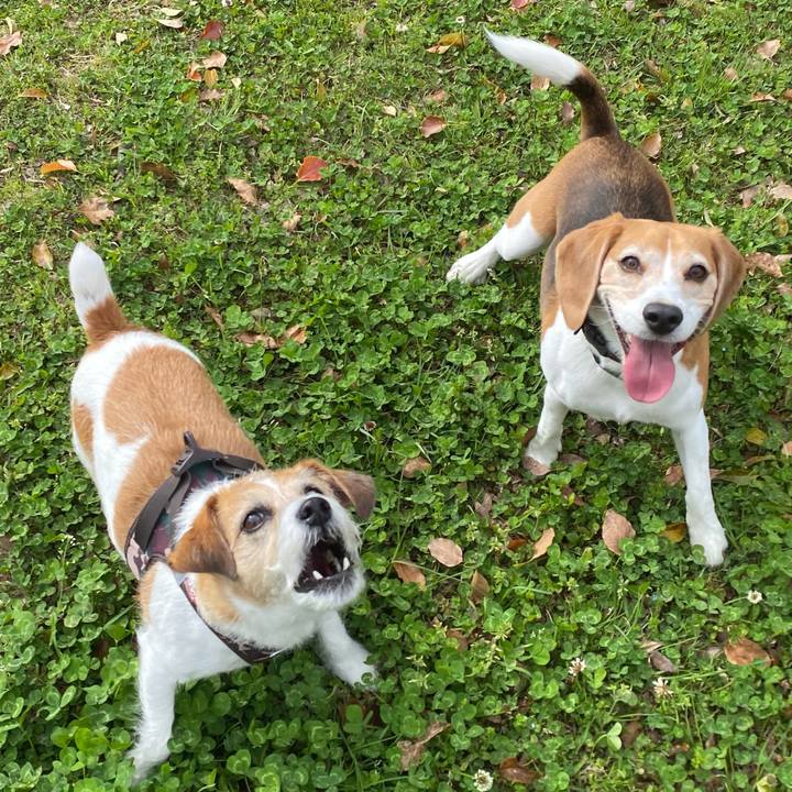 49aab9ae 2d4d 483b b569 47b14fa87ce3 1712767377055