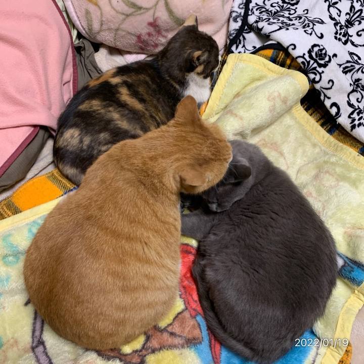 49aac2e9 bc02 40d9 a006 003dec223702 1642602022367