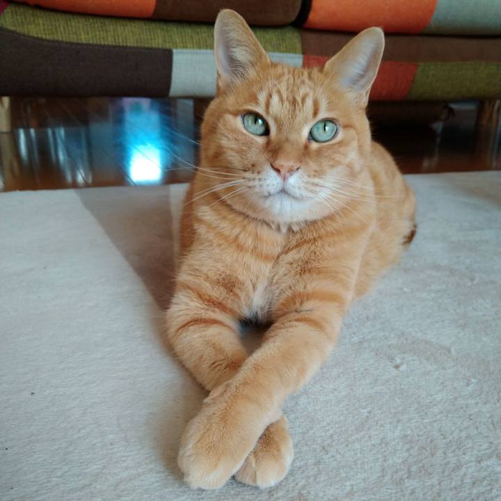 49aad5aa 14c2 4c13 973f 7ce3ec9b59e9 1630546571525