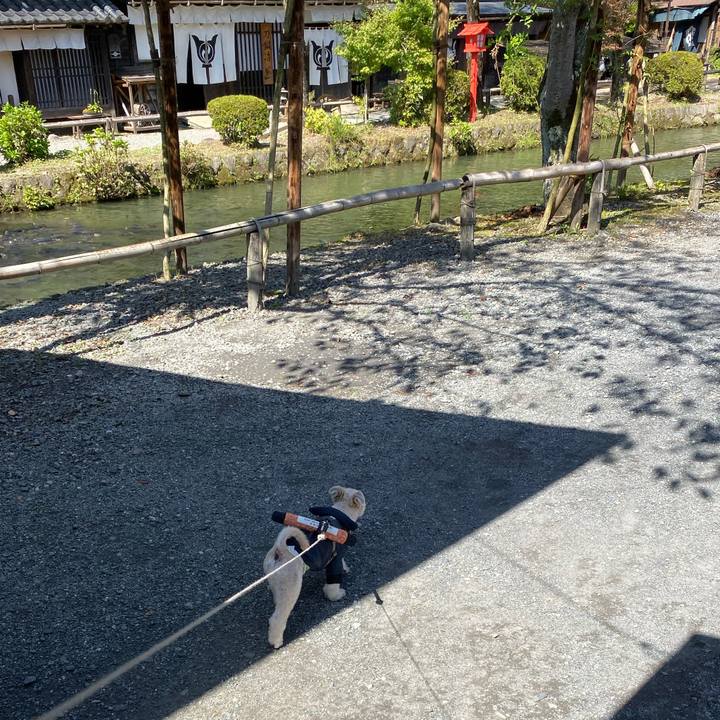 49aae782 43ea 46ef bca0 2a324593aa88 1570245159508