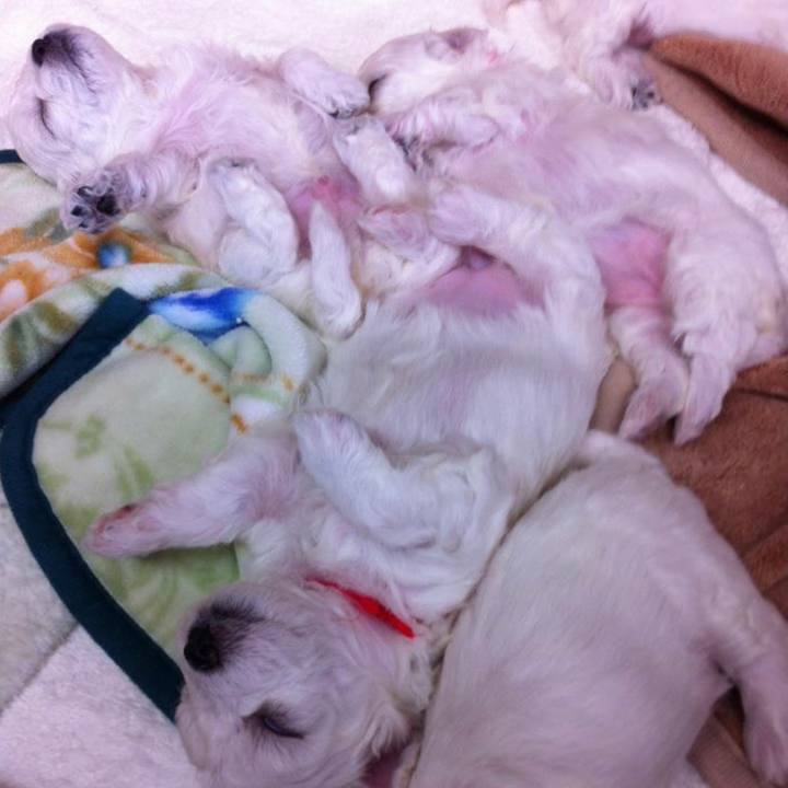 49ab0331 f4f5 4710 8f67 c2b599caa9bb 1645910316613