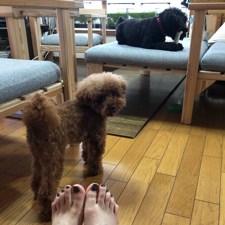 49ab2041 5038 415e adbc 4e86cbe7a647 1596855316823