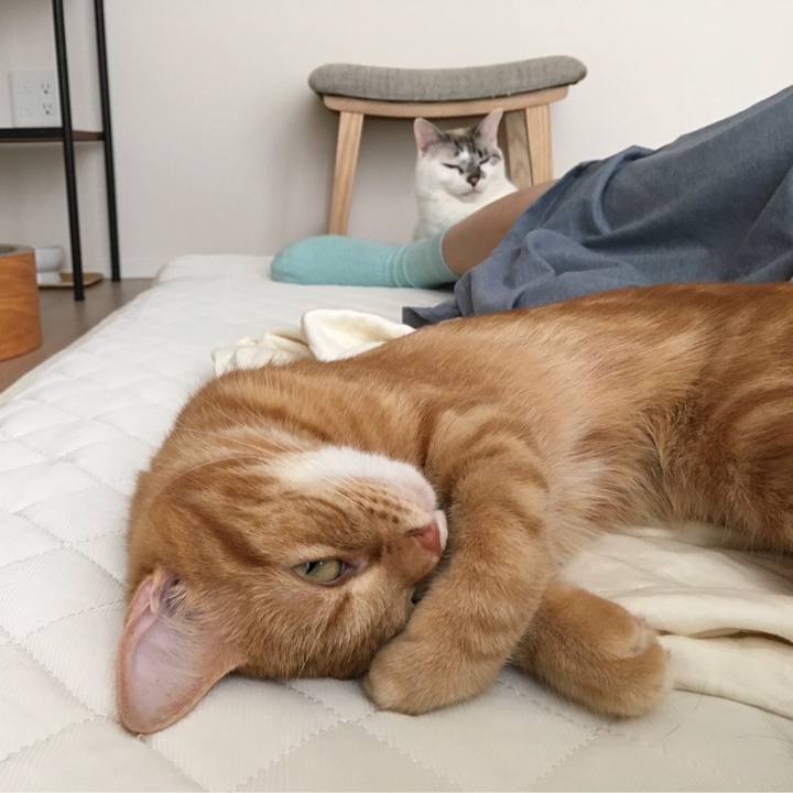 49ab3bd1 c649 4c3a b1a0 1596a669d4f3 1530338162051