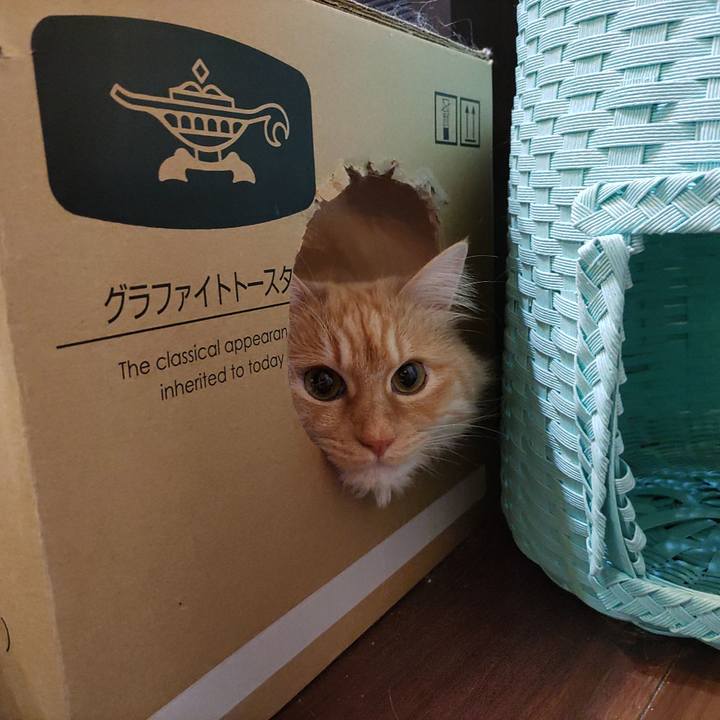 49ab4ce0 d771 455d bd2c 1166c46a9a41 1711886137377