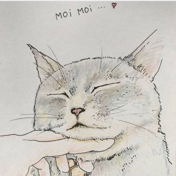 49ab64d6 8196 423a b880 dc77d65ac376 1583933917516