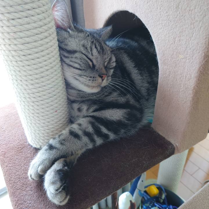 49ab7bfe f6c1 41fa b3a6 9baf063f9114 1623405796662