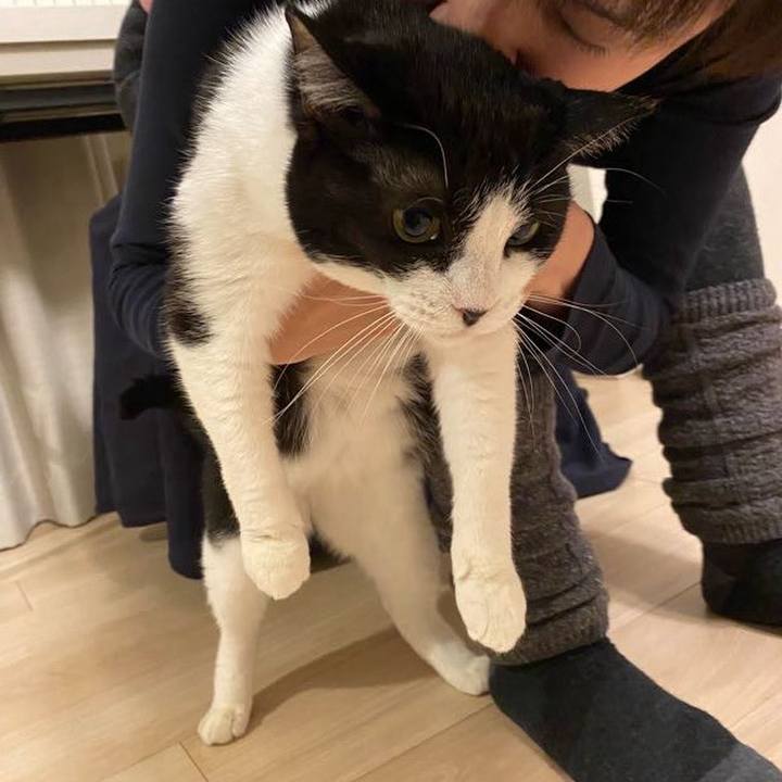 49ab8a77 b7e5 4969 b211 0307ad9cc21b 1737895248293