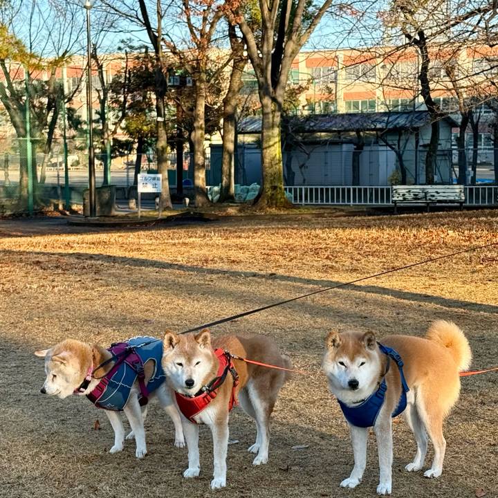 49aba1eb 3b31 495e 87ac a265f31899af 1766073693618