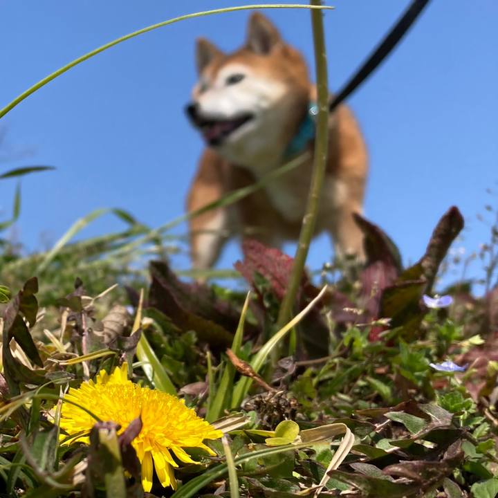 49abab46 e639 4498 8fed 92da3202d93b 1710579342841