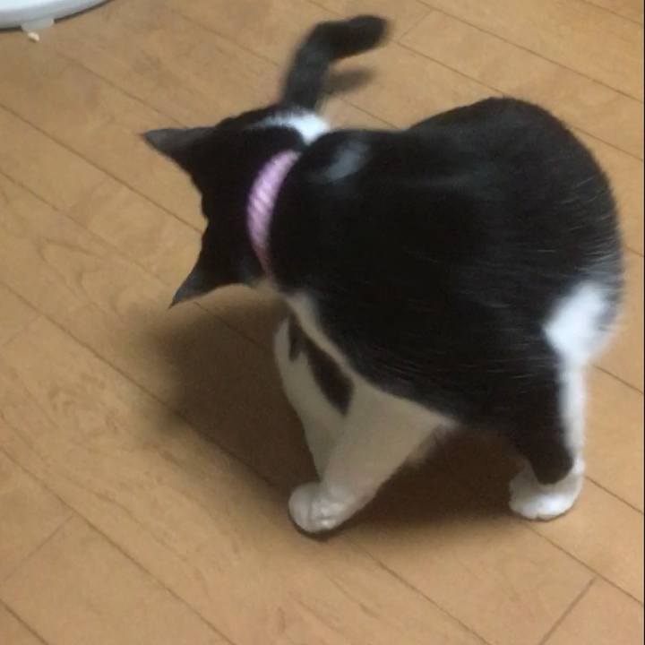 49abbfb0 28aa 4ef4 88e3 51b7a7819b58 1592985354585