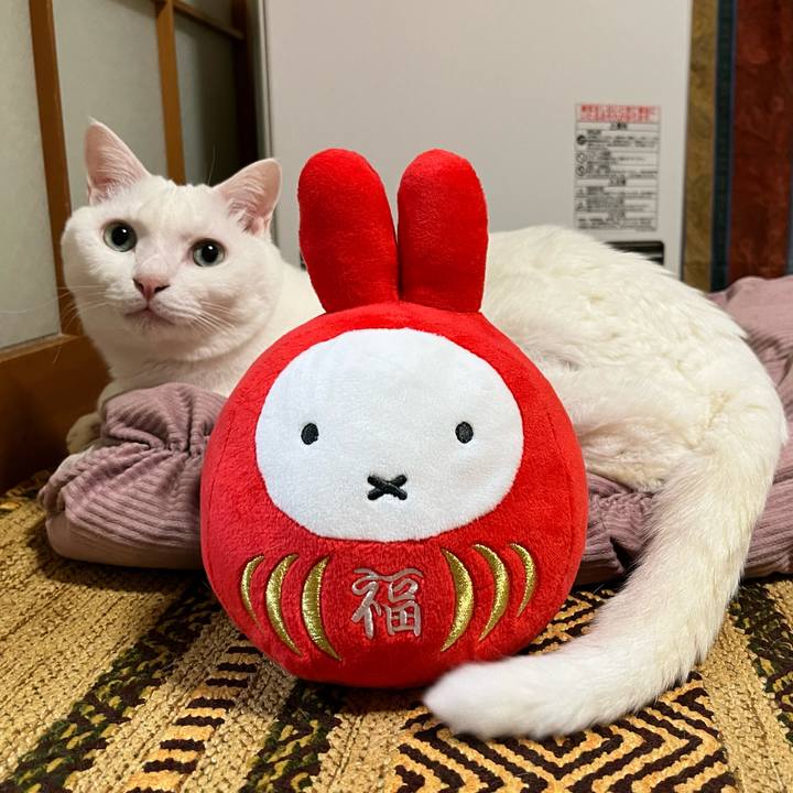 49abd94c 5cb0 411e 80e7 46c38a48a7ea 1672540327934