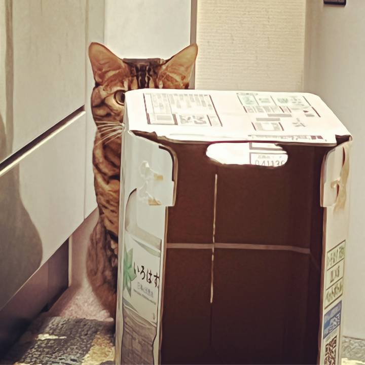 49abedce e932 4d9d af8e 9fb01f25117f 1633993524373