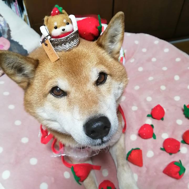 49abf244 74ba 4565 8d9d d443ab20ca25 1642404639122