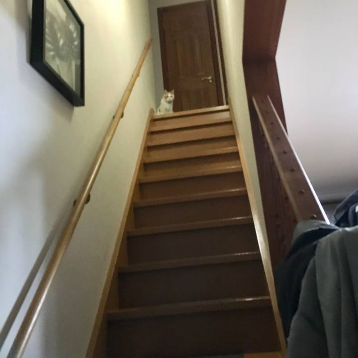 49abf58d dac3 4b9a bd96 24f3104cbb5d 1532575737492