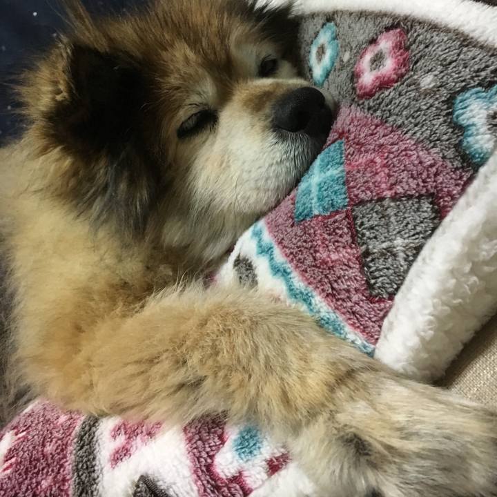 49ac3591 e1c2 4167 a4a9 381f20b2751b 1618861186890