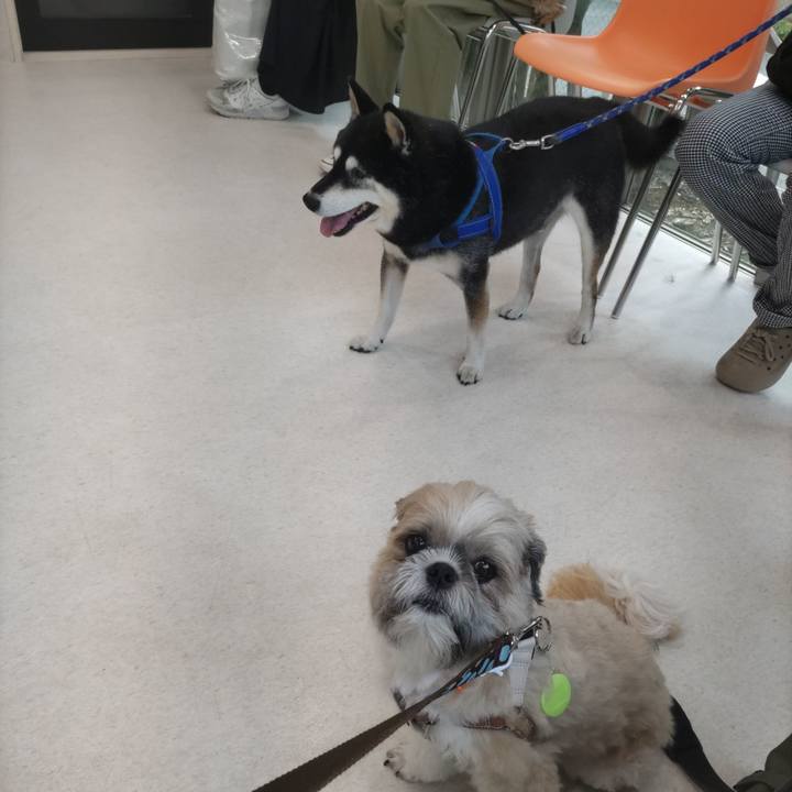 49ac498a 7ac6 4896 b117 20490d75a134 1757987808746