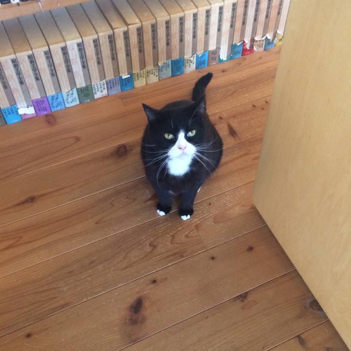 49ac5cef c220 4bd2 92b5 d116909f1d45 1521417125537