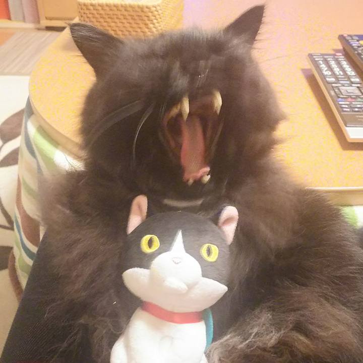 49ac6564 66a0 4ff1 b4e8 214b088adf23 1539421467068