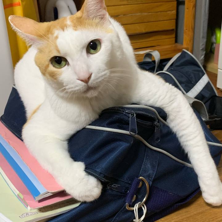 49ac7322 af8a 4915 b300 ed4fd6ecba22 1601902715986