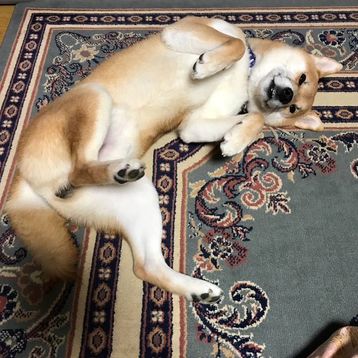 49ac8083 3557 4586 bedc 36746fd7bcff 1548978207068