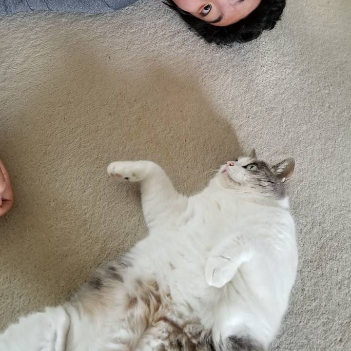 49ac88ca 4ab2 49b5 916e 6d7cc66a414d 1659539716297