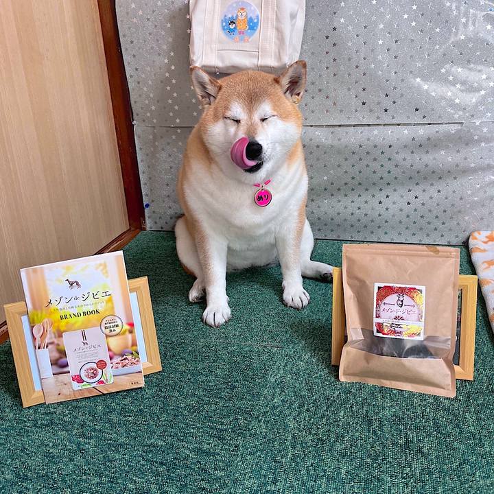 49ac8df8 728e 4277 ae2b 15491e785957 1684806480525